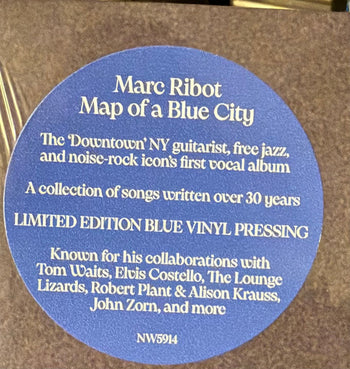 Map of a Blue City - Ribot, Marc