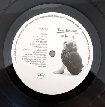 The Hurting - Tears For Fears