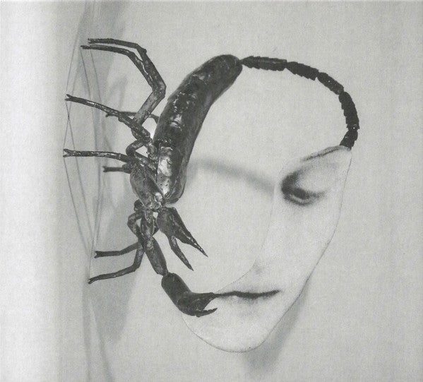 Touch - Tortoise