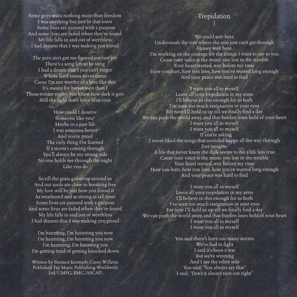 The Weight of the Woods - Kennedy, Dermot
