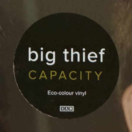 Capacity - Big Thief