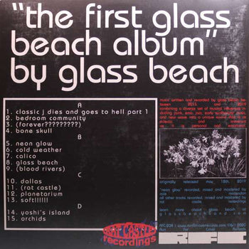 the first glass beach album - glass beach
