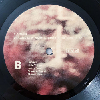 Dragon New Warm Mountain I Believe In You - Big Thief