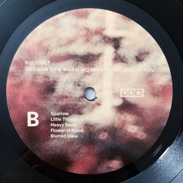 Dragon New Warm Mountain I Believe In You - Big Thief