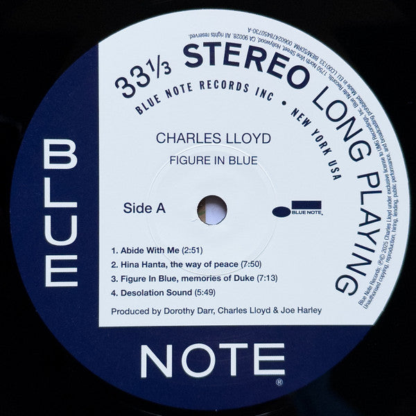 Figure In Blue - Lloyd, Charles