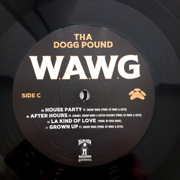 W.a.W.G. (We All We Got) - Tha Dogg Pound