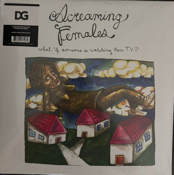What If Someone Is Watching Their Tv? - Screaming Females