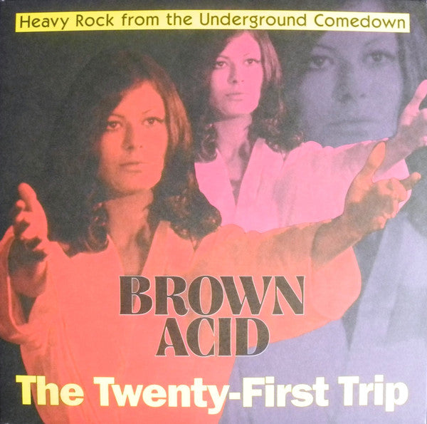 Brown Acid - The Twenty-first Trip - Various