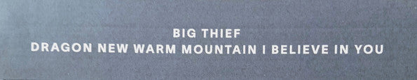 Dragon New Warm Mountain I Believe In You - Big Thief