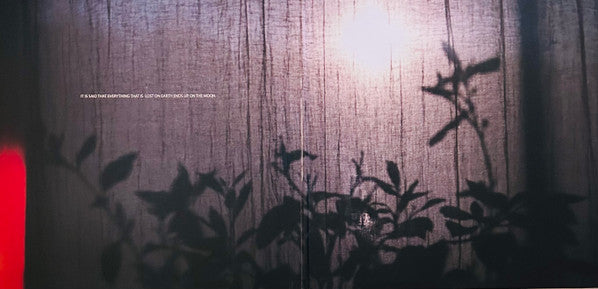 A Study of Losses - Beirut