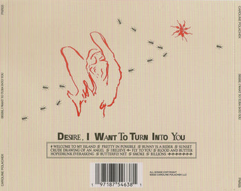 Desire, I Want To Turn Into You - Polachek, Caroline