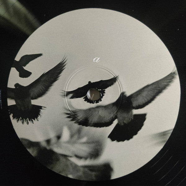 Rossz Csillag Alatt Szuletett - Venetian Snares [LP]