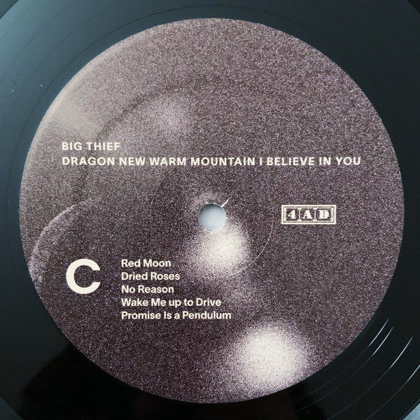 Dragon New Warm Mountain I Believe In You - Big Thief