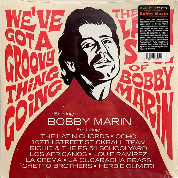 We've Got A Groovy Thing Going: The Latin Soul Of - Various