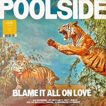 Blame It All On Love - Poolside