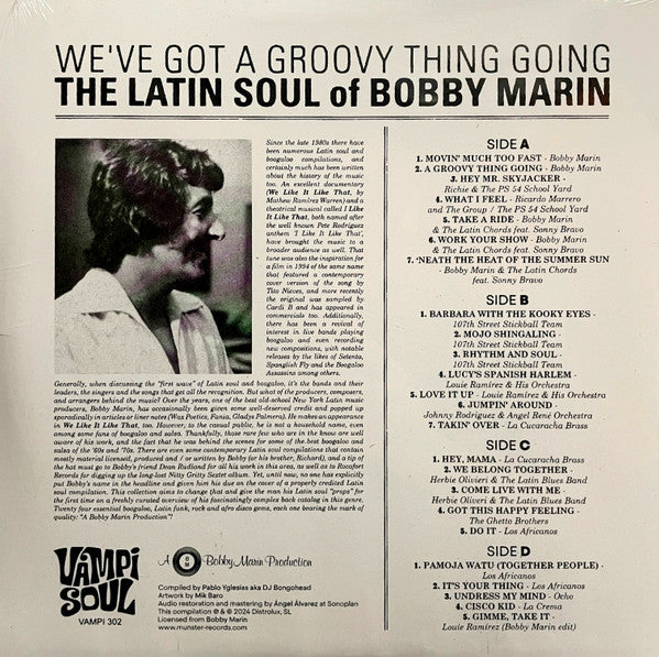 We've Got A Groovy Thing Going: The Latin Soul Of - Various