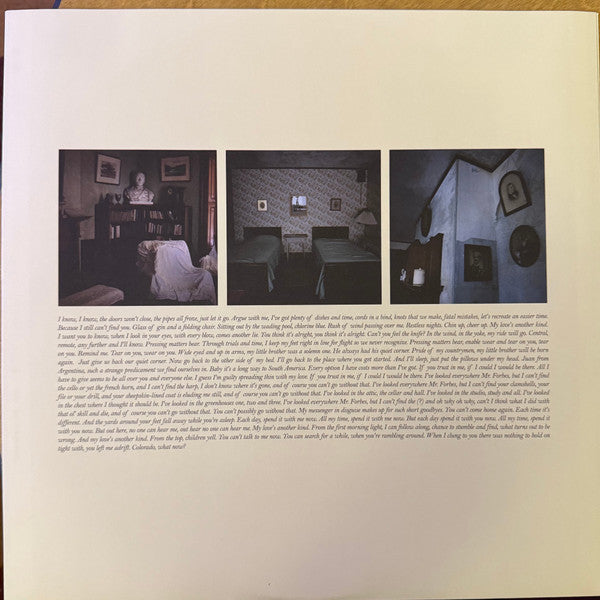 Yellow House - Grizzly Bear