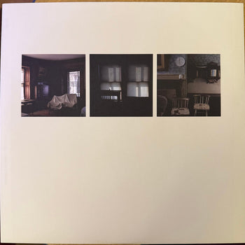 Yellow House - Grizzly Bear