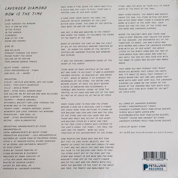 Now Is The Time - Lavender Diamond