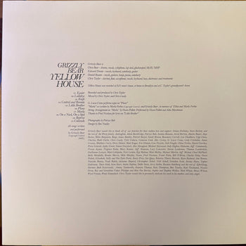 Yellow House - Grizzly Bear