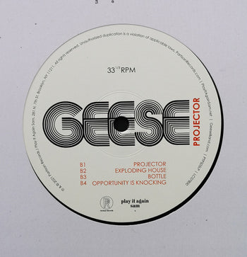 Projector - Geese