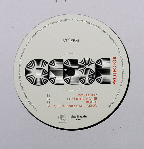 Projector - Geese