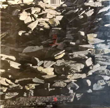 Silver - Echo & The Bunnymen