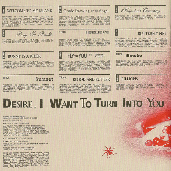 Desire, I Want To Turn Into You - Polachek, Caroline