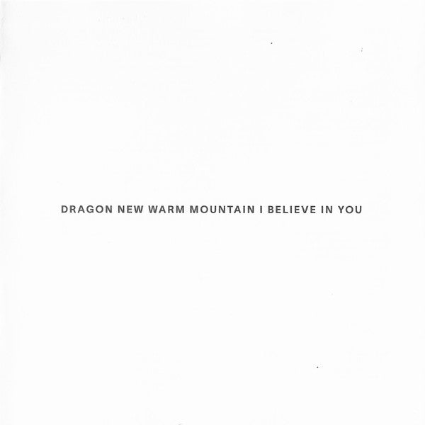 Dragon New Warm Mountain I Believe In You - Big Thief
