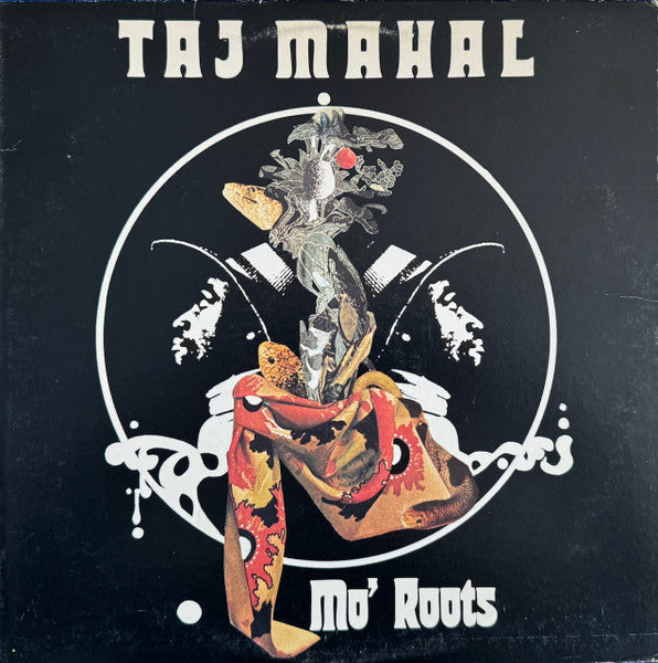 Mo' Roots - Taj Mahal