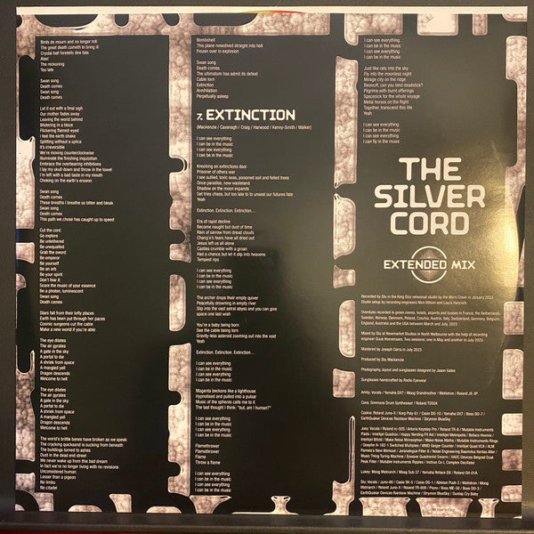 The Silver Cord - King Gizzard & The Lizard Wizard