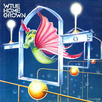 WTUE Homegrown - Various