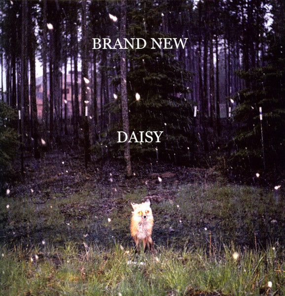Daisy - Brand New