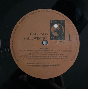 Callings - Winter, Paul