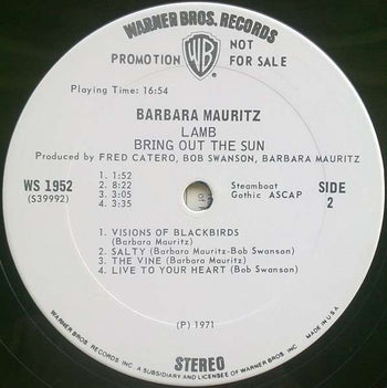 Bring Out The Sun - Barbara Mauritz