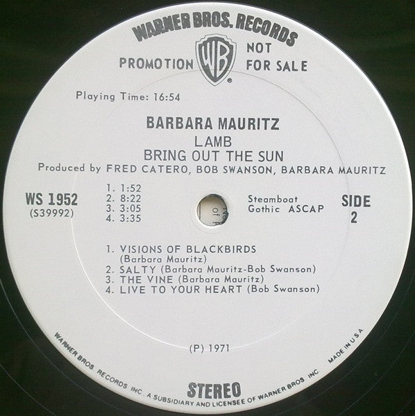Bring Out The Sun - Barbara Mauritz