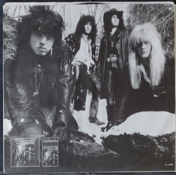 Long Cold Winter - Cinderella