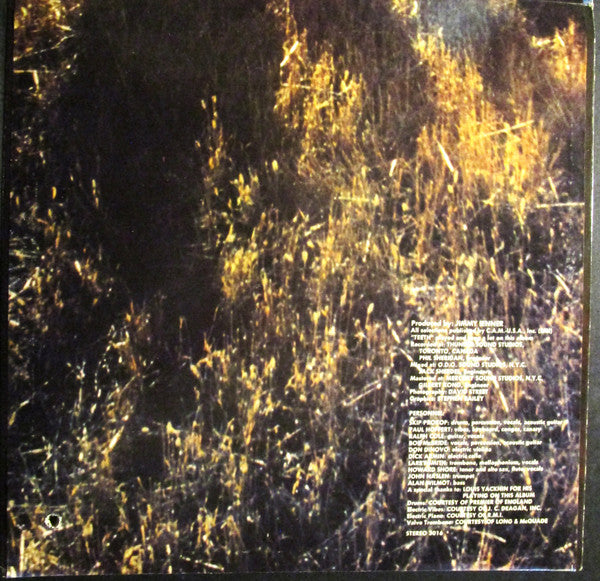 Sunny Days - Lighthouse