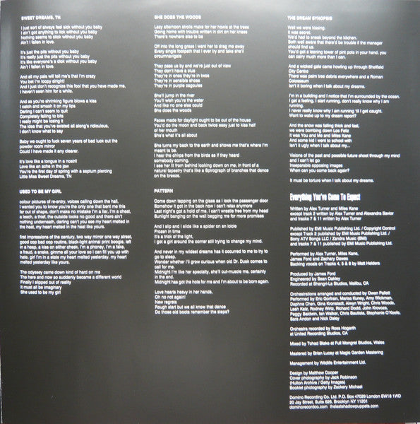 Everything You've Come To Expect [Vinyl] - The Last Shadow Puppets