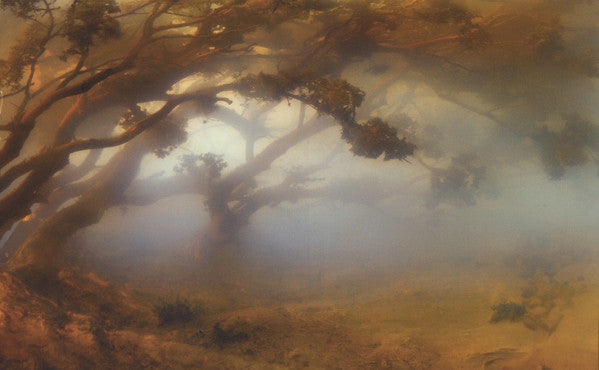 Divers - Newsom, Joanna