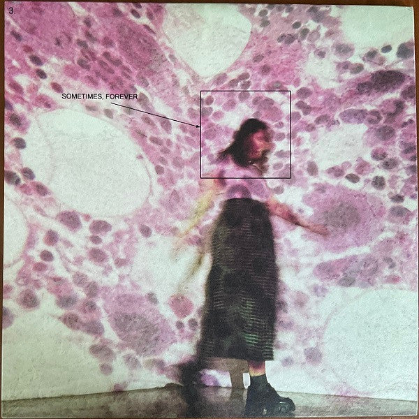 Sometimes, Forever - Soccer Mommy