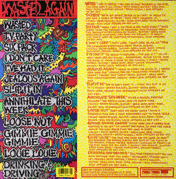 Wasted Again - Black Flag