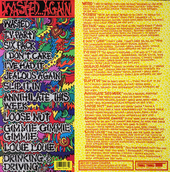 Wasted Again - Black Flag