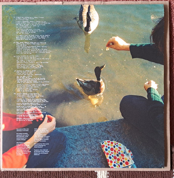 Dare to Be Surprised - Folk Implosion