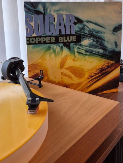 Copper Blue - Sugar