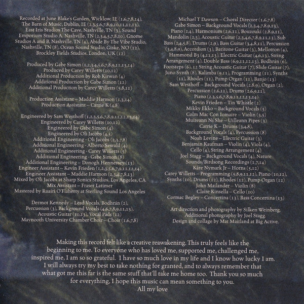 The Weight of the Woods - Kennedy, Dermot