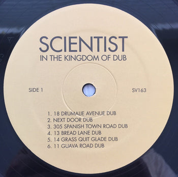 In The Kingdom Of Dub - Scientist & Prince Jammy