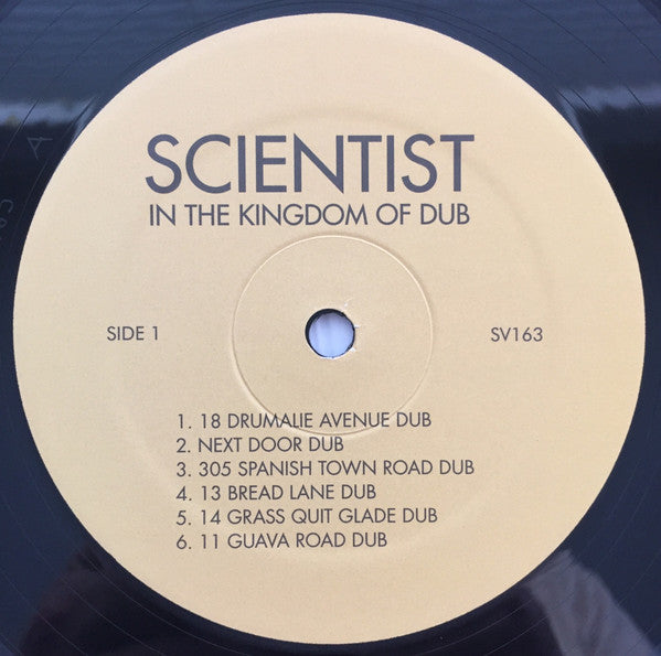 In The Kingdom Of Dub - Scientist & Prince Jammy