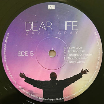 Dear Life - Gray, David