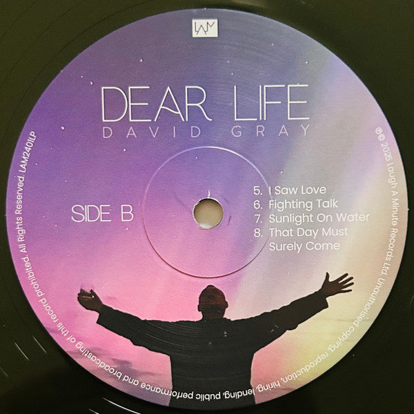 Dear Life - Gray, David